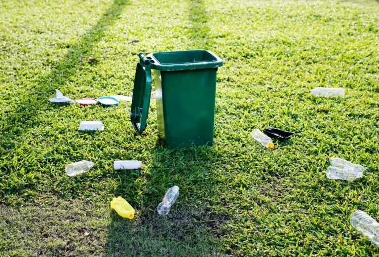 eventi sostenibili,littering,sostenibilità,greenwashing,raccolta differenziata